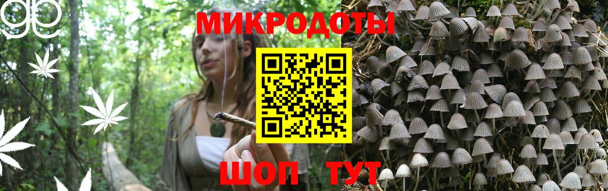 Галлюциногенные грибы Psilocybine cubensis Фурманов
