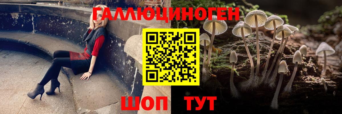 Фурманов  Галлюциногенные грибы Psilocybine cubensis  Вход с VPN 